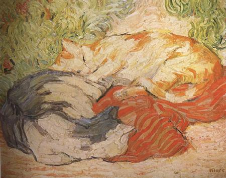 Franz Marc cats (mk34) china oil painting image